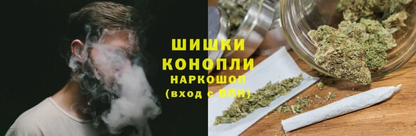 spice Покачи
