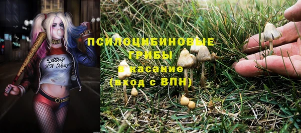 spice Покачи