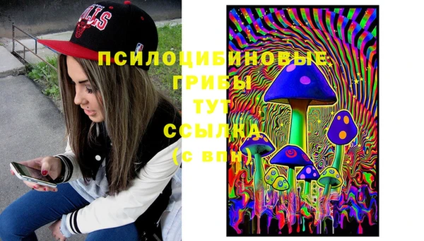spice Покачи