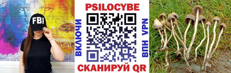 Галлюциногенные грибы Magic Shrooms  Ртищево 