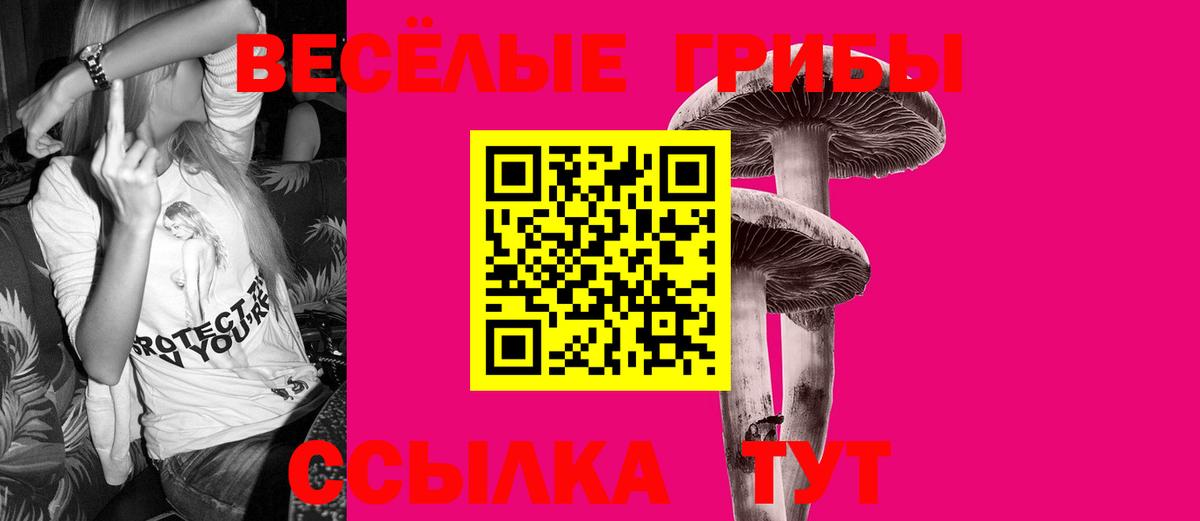 Псилоцибиновые грибы Psilocybe  Вход с VPN  Псилоцибиновые грибы ЛСД  Ртищево 