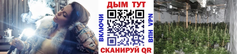 Бошки марихуана индика  даркнет официальный сайт  Ртищево 